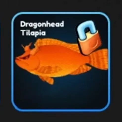 Dragonhead Tilapia