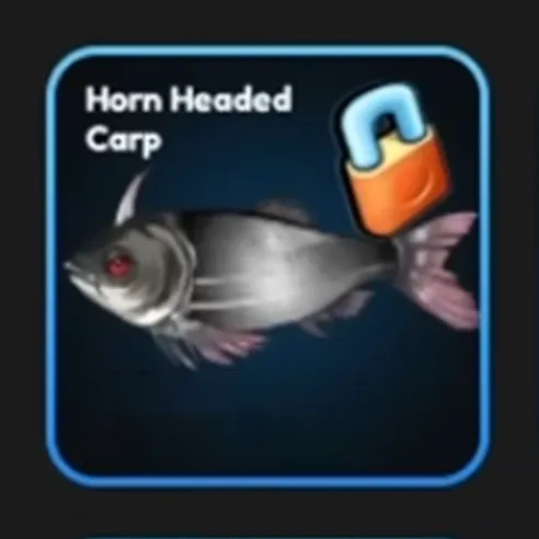 Horn Headed Carp