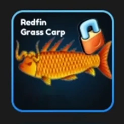 Redfin Grass Carp