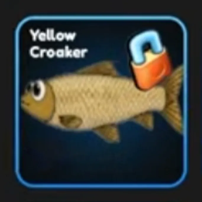 Yellow Croaker